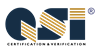 QSI Logo